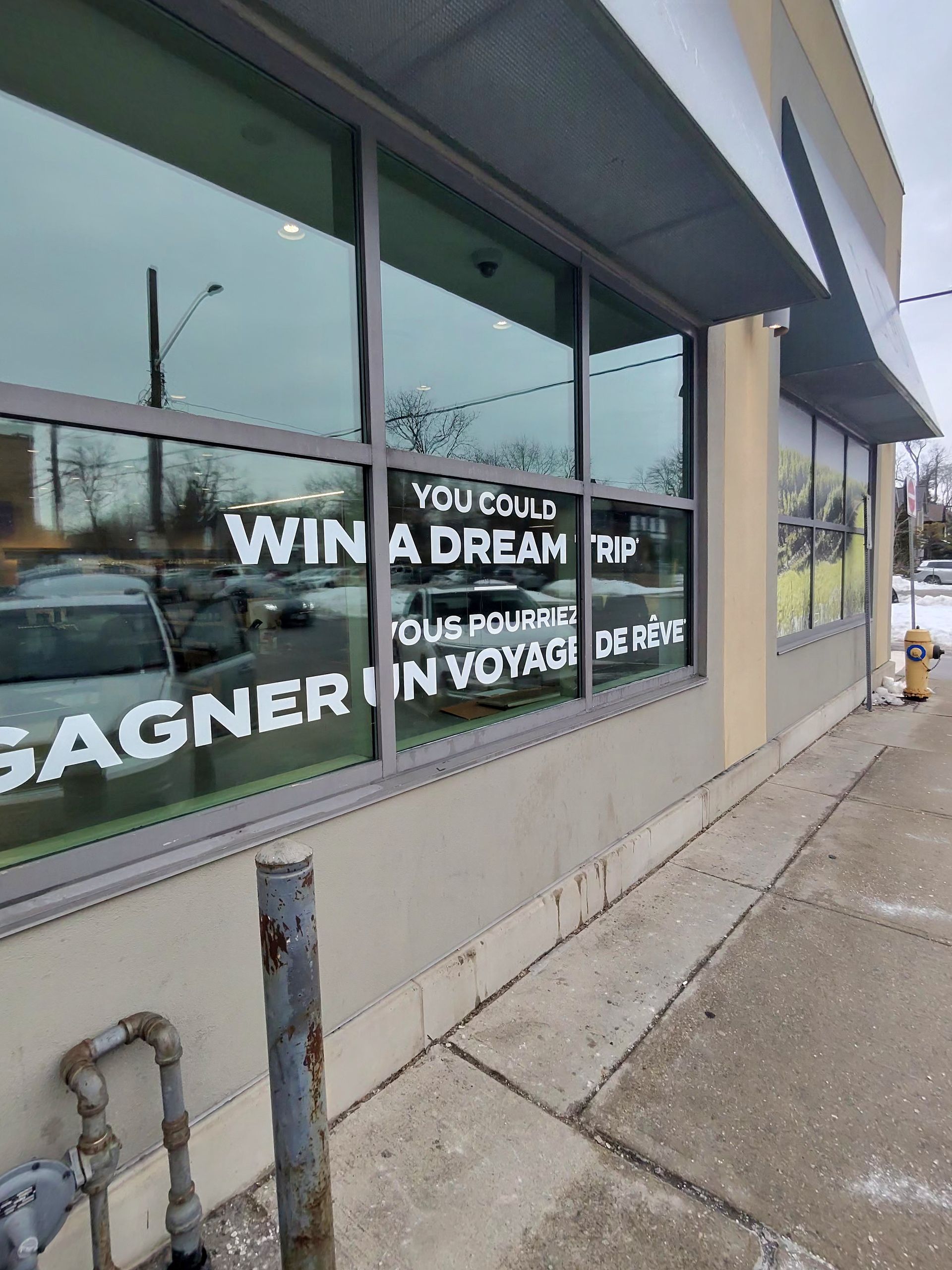 Storefront window decal